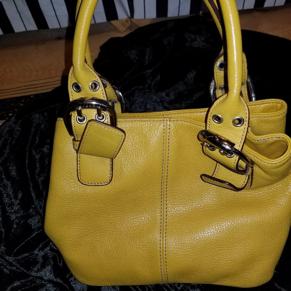 Tignanello purse